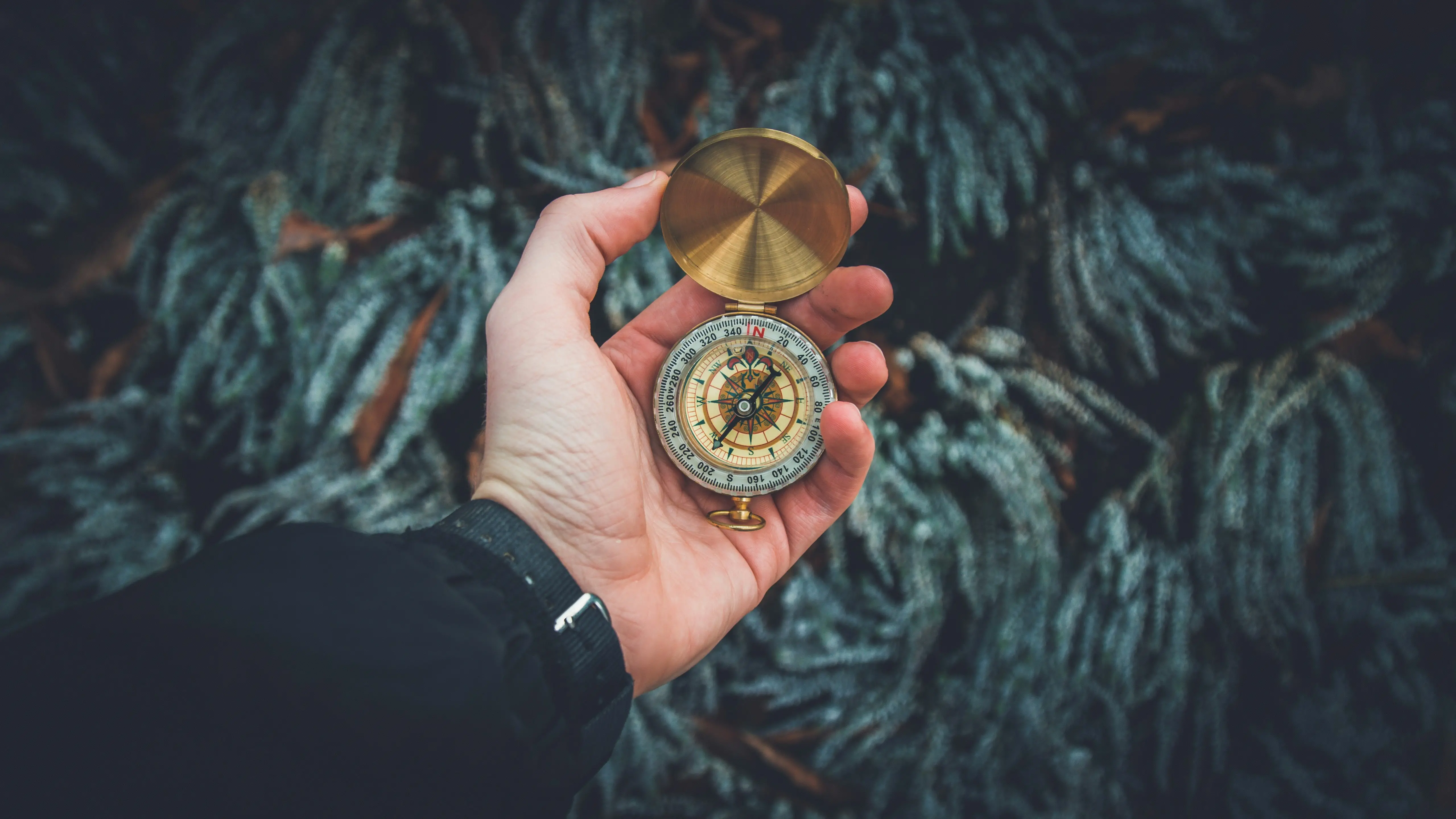 Mensch hält goldenen Kompass in der Hand